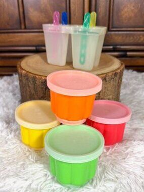 5pc Popsicle Molds + 4 Ice Cream Jello Ice Italian Ice Cup Molds with Lids